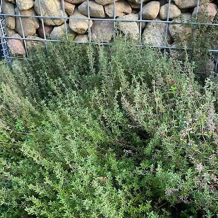 Дом отдыха By Wise Ka With Sauna *