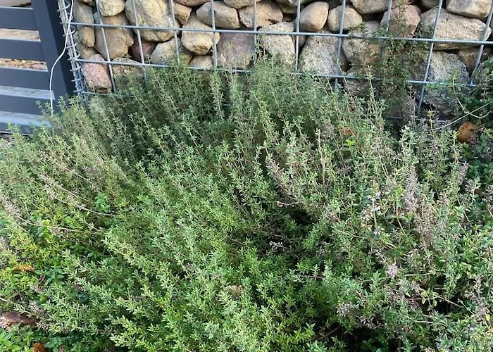 بيت للعطل By Wise Ka With Sauna *